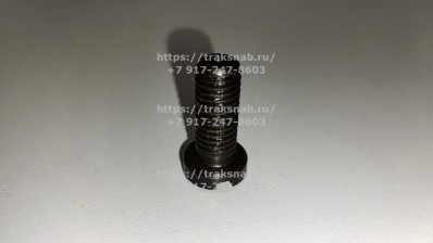 Винт крепления пластины распред/вала