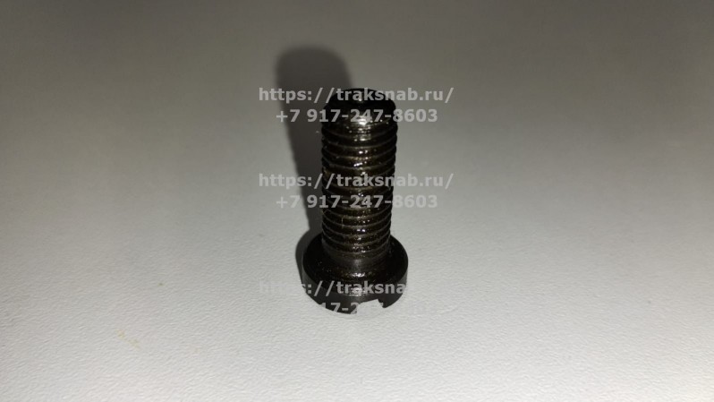 Винт крепления пластины распред/вала — 2