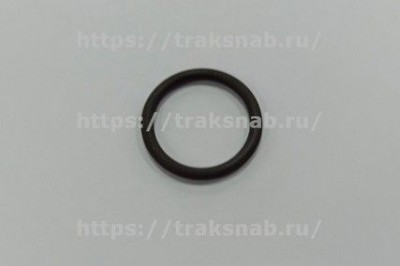 Кольцо уплотнительное форсунки Е2