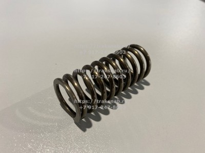 Пружина клапана наружняя Д245