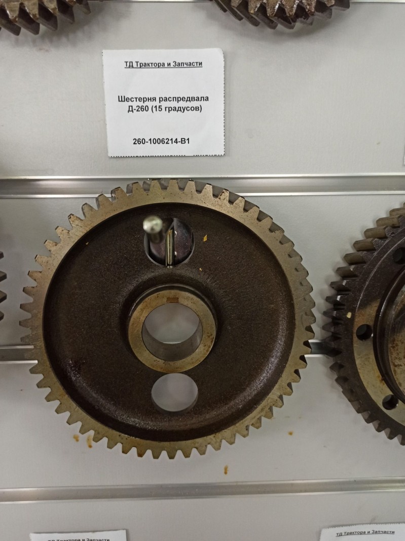 Шестерня распредвала Д-260 (15 градусов) — 1