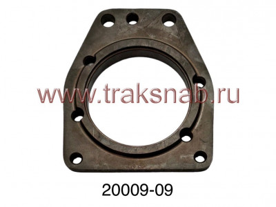 Плита крепления 20009-09 ТНВД 4М EURO-2