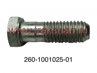 Болт крепления двигателя